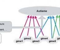 La génétique va-t-elle bouleverser l’approche des maladies neurologiques et psychiatriques ?