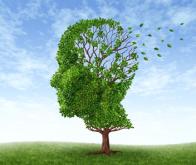 Maladie d’Alzheimer : une révolution thérapeutique est en marche