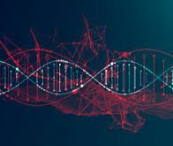 Microchimérisme, gènes sauteurs et virus réécrivent la théorie de l’évolution