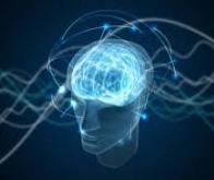 Notre cerveau possède t-il un niveau quantique de fonctionnement ?