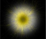 Emettre des photons uniques pour les technologies quantiques