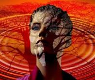 Emotions et mémoire sont intimement liées