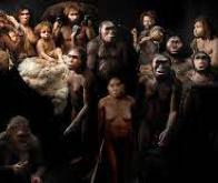 Histoire des maladies : la génétique retrace 10 000 ans d’évolution de notre immunité