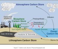 L'homme a profondément modifié le cycle global du carbone au niveau planétaire