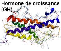 Hormone de croissance : une transmission interhumaine serait possible dans la maladie d’Alzheimer