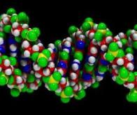 Identification d'un nouveau groupe de mutations génétiques