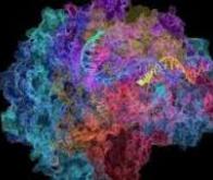 Immunité : le rôle-clé des petites molécules d'ARN