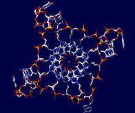 La découverte d'un ADN à quadruple hélice ouvre une nouvelle voie de recherche contre le cancer 