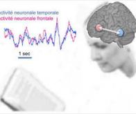 La lecture : un vrai travail d’équipe dans le cerveau