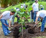 La reforestation, un outil majeur contre le réchauffement climatique