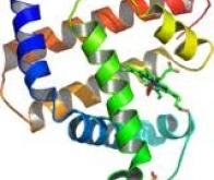 La structure du protéasome 26S enfin comprise !