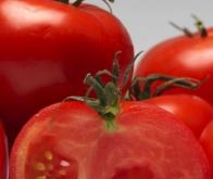 La tomate et le soja diminuent le risque de cancer de la prostate