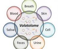 La Volatolomique Induite pour découvrir de nouveaux traitements anticancéreux ciblés