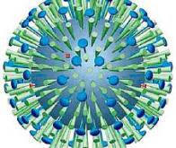 Le blocage des molécules de sucre arrête la propagation du virus de la grippe chez la souris