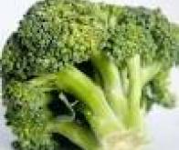 Le brocoli améliore l’efficacité d’un traitement contre le cancer