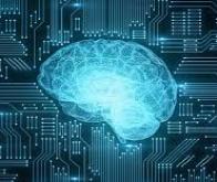 Le cerveau aurait une capacité de stockage dix fois plus importante que prévu