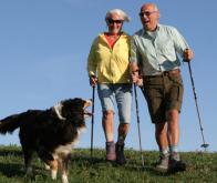 Le chien, meilleur ami de la santé de l'homme ?