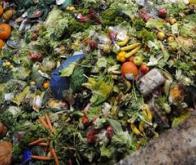 Le gaspillage alimentaire coûte 555 milliards d'euros par an à la planète ! 