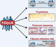 Le GlycA prédit le risque à plus de 10 ans de mourir d’une infection