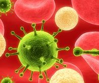 Le microbiote : nouvelle arme contre le paludisme ?