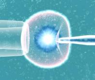 Le premier "bébé médicament" a guéri sa grande sœur