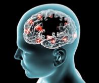 Le remplacement des neurones à l’assaut de la maladie de Parkinson
