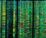 Le Royaume-Uni va généraliser le séquençage ADN chez les nourrissons pour anticiper les maladies