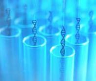 Le stockage sur ADN franchit une nouvelle étape