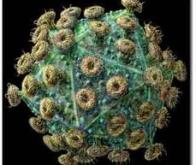 Le traitement contre l’hépatite C peut parfois réactiver le virus de l’hépatite B