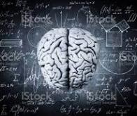 Le traitement des mathématiques dans le cerveau éclairé par les neurotransmetteurs