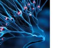 L'épigénétique permet d'activer et d'inhiber des souvenirs