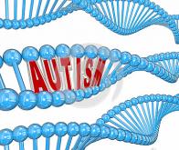 Les bases génétiques de l'autisme se révèlent peu à peu
