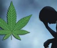 Les effets nocifs du cannabis sur le cerveau confirmés par une vaste étude