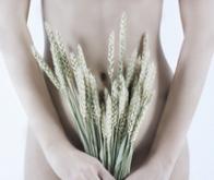 Les fibres alimentaires réguleraient l'expression de certains gènes