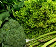 Les légumes verts pourraient retarder le déclin cérébral