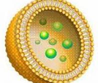 Les liposomes, une alternative possible aux antibiotiques ? 