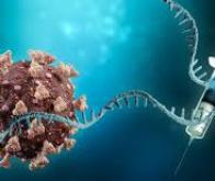 Les médicaments d'ARNm pourraient protéger contre de nombreuses infections virales