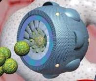 Les nanomédicaments, avenir de la médecine 