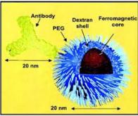 Les nanoparticules hybrides, prochaine arme contre le cancer ?