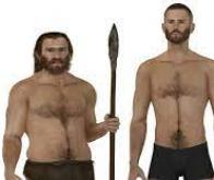 Les Néandertaliens semblent avoir été des carnivores