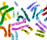 Les nouveaux outils d'édition du génome ouvrent la voie vers le traitement des maladies génétiques