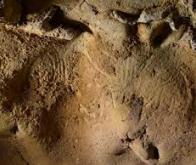 Les plus anciennes gravures rupestres de France découvertes près de Tours
