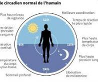 L'horloge biologique serait déterminante dans les risques d'insuffisance cardiaque