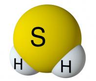 L'hydrogène sulfuré : une nouvelle arme contre le vieillissement