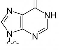 L’inosine, un ingrédient possible des débuts de la vie