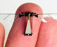 L’Université du Maryland met au point le plus petit robot insecte au monde