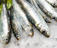 Manger des sardines plutôt que de la viande rouge pourrait sauver 750.000 vies par an en 2050