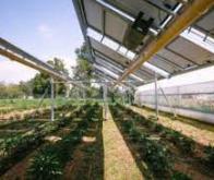 Ombrea : des ombrières intelligentes pour adapter l’agriculture au réchauffement climatique