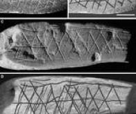 On savait déjà peindre il y a plus de 100.000 ans