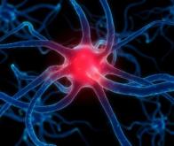 Maladie de Parkinson : reprogrammer les cellules défaillantes grâce à un virus